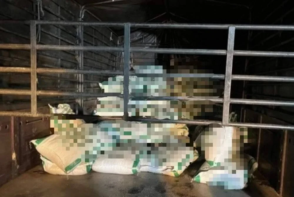 Antara beras yang dirampas dalam operasi di kawasan Sungai Golok, Tumpat pada Ahad.