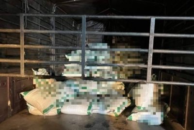 Antara beras yang dirampas dalam operasi di kawasan Sungai Golok, Tumpat pada Ahad.