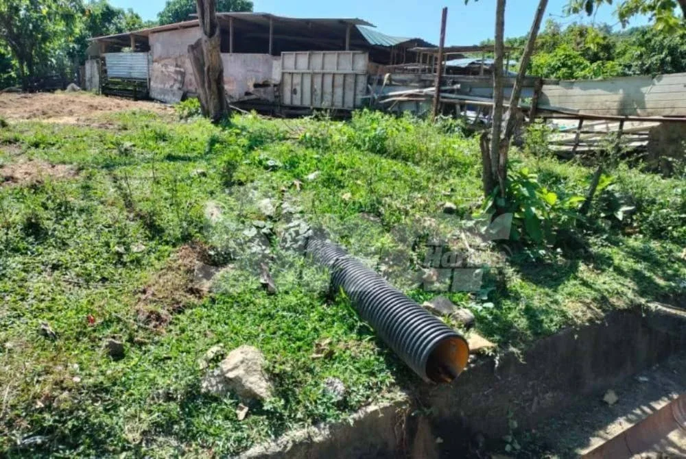 Pembinaan kandang lembu haram tersebut menyebabkan penduduk menghadapi masalah pencemaran bau dan lalat sejak lebih tiga bulan lalu.