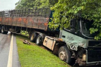 Lori treler jenis Volvo FM13 dipercayai hilang kawalan sebelum memasuki laluan bertentangan dan melanggar dua kenderaan lain. Foto IPD Rompin