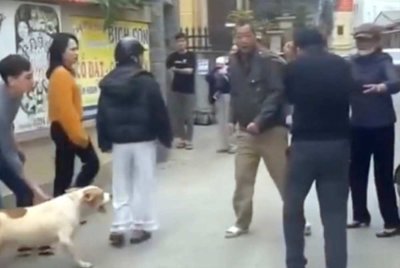 Anjing itu dilepaskan bagi menyerang jirannya. Foto Agensi