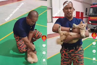 Oyen dikatakan sesat hingga ke Balai Bomba Sekinchan.