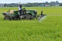 Isu pesawah lewat menerima baja bersubsidi bukan perkara baharu tetapi kebimbangan yang sering dibangkitkan kumpulan itu setiap kali tiba musim. Foto hiasan/Bernama