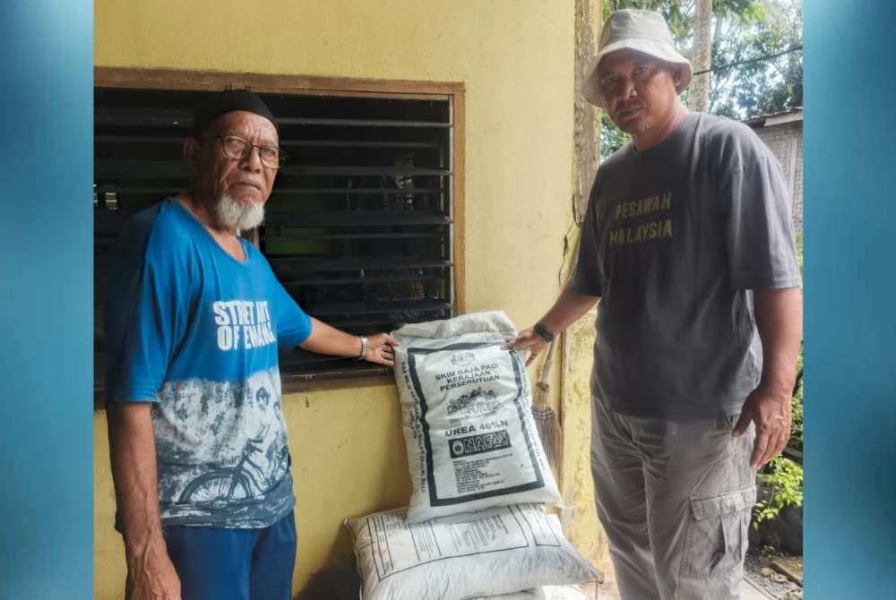 PeSAWAH mendakwa menerima banyak aduan tentang kelewatan pengedaran baja subsidi kepada pesawah.