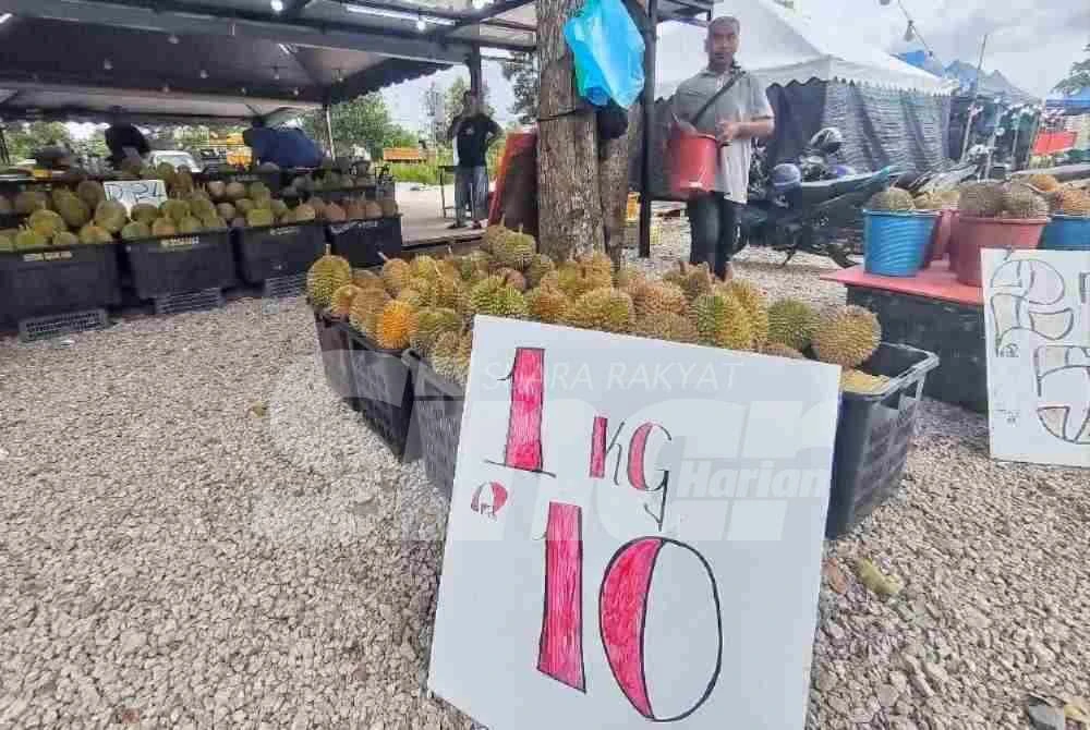 Durian kampung dijualnya pada harga RM10 sekilogram bermula Khamis susulan lambakan raja buah itu.