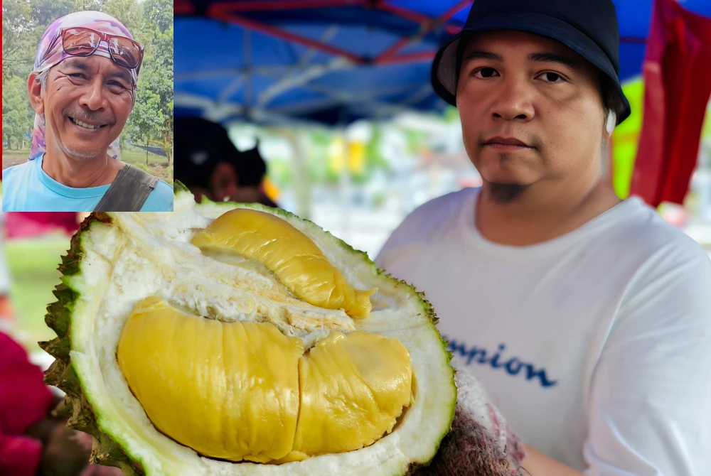 Warna isi musang king yang kuning menjadi kegilaan peminat raja buah berkenaan. Gambar kecil: Zain