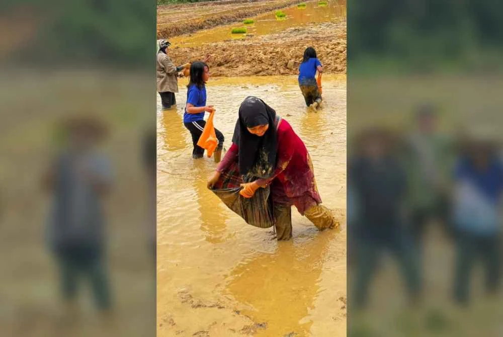 Peserta kanak-kanak tidak melepaskan peluang untuk turut serta.