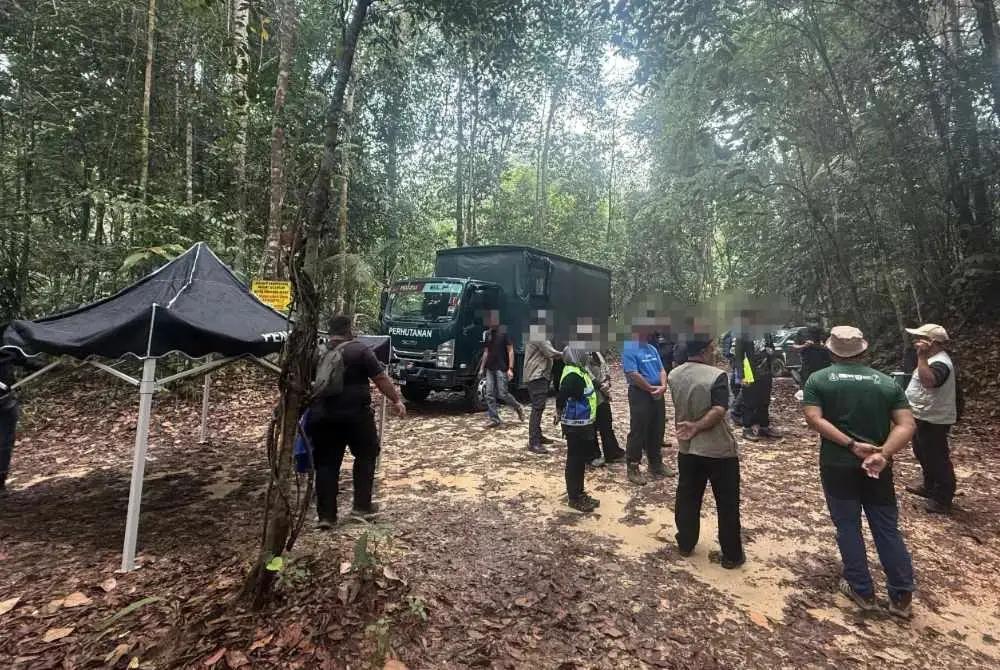 JPNS melaksanakan operasi di hutan simpan bagi menangani aktiviti pencerobohan