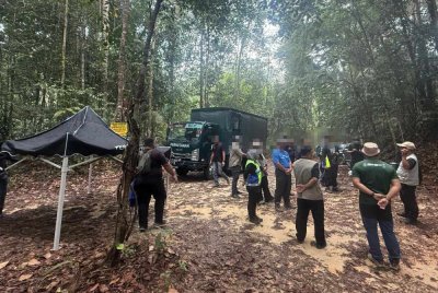 JPNS melaksanakan operasi di hutan simpan bagi menangani aktiviti pencerobohan