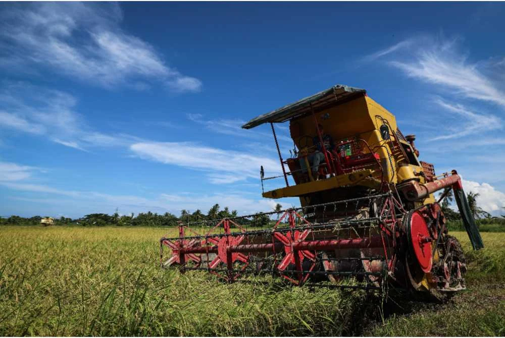 KPKM akan memastikan kesinambungan pembekalan bagi mengelakkan gangguan bekalan baja kepada pesawah. - Foto Bernama