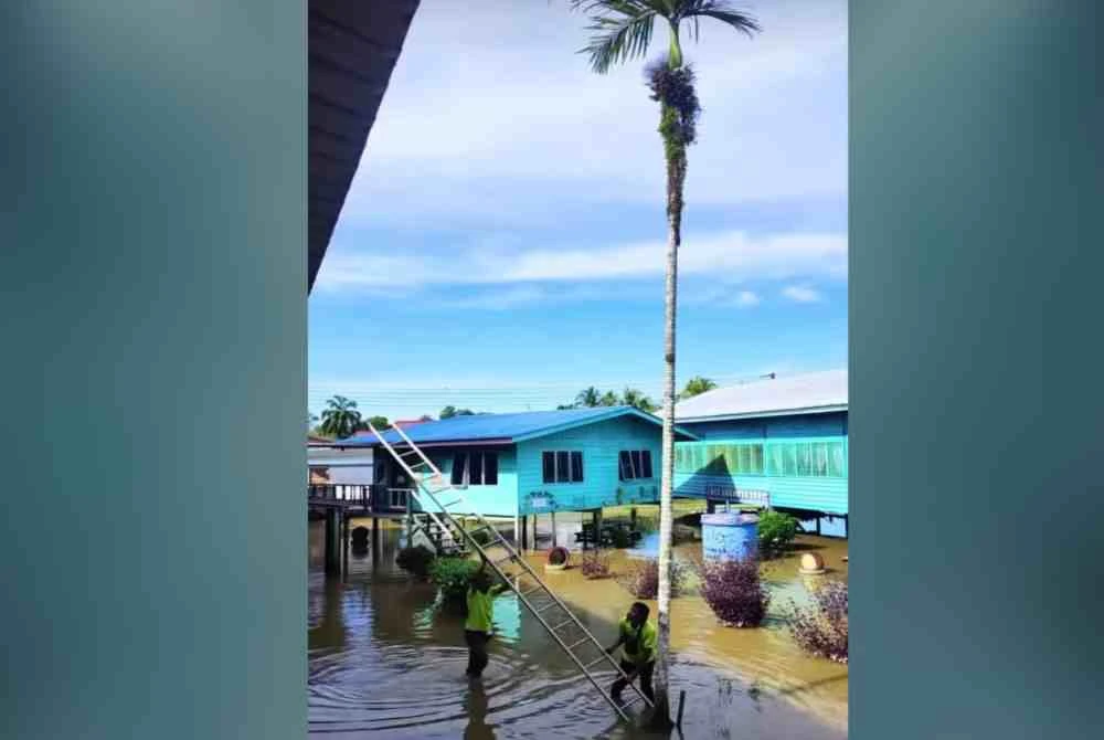 Dua petugas membawa tangga dalam usaha awal membawa turun kucing yang terperangkap di atas pokok pinang setinggi 15 meter. Foto Pembaca