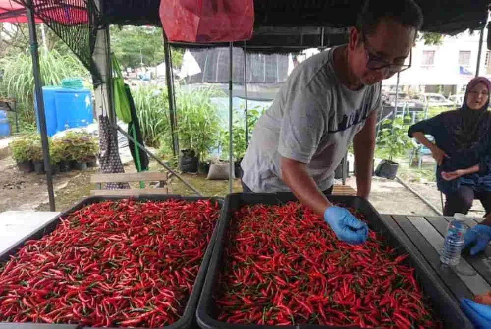 Beyond Benih, telah memberi manfaat kepada kira-kira 155,000 penerima dalam kalangan komuniti B40 sejak diperkenalkan pada 2022.