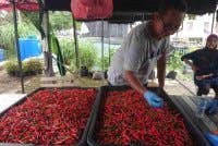 Beyond Benih, telah memberi manfaat kepada kira-kira 155,000 penerima dalam kalangan komuniti B40 sejak diperkenalkan pada 2022.