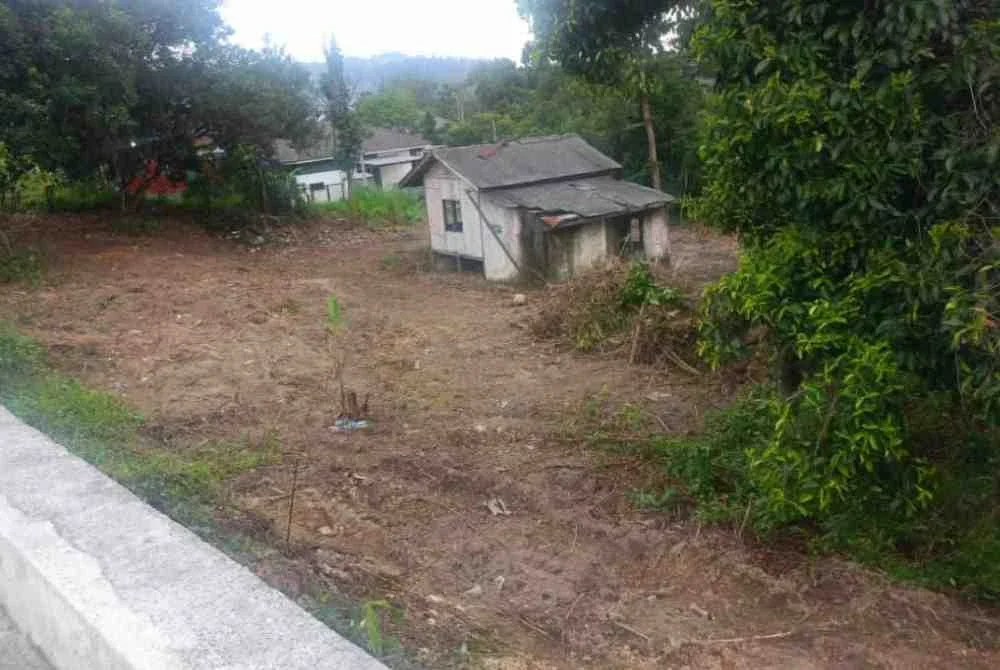 Keadaan tanah yang mempunyai pondok dan pokok buah- buahan sebelum diceroboh.