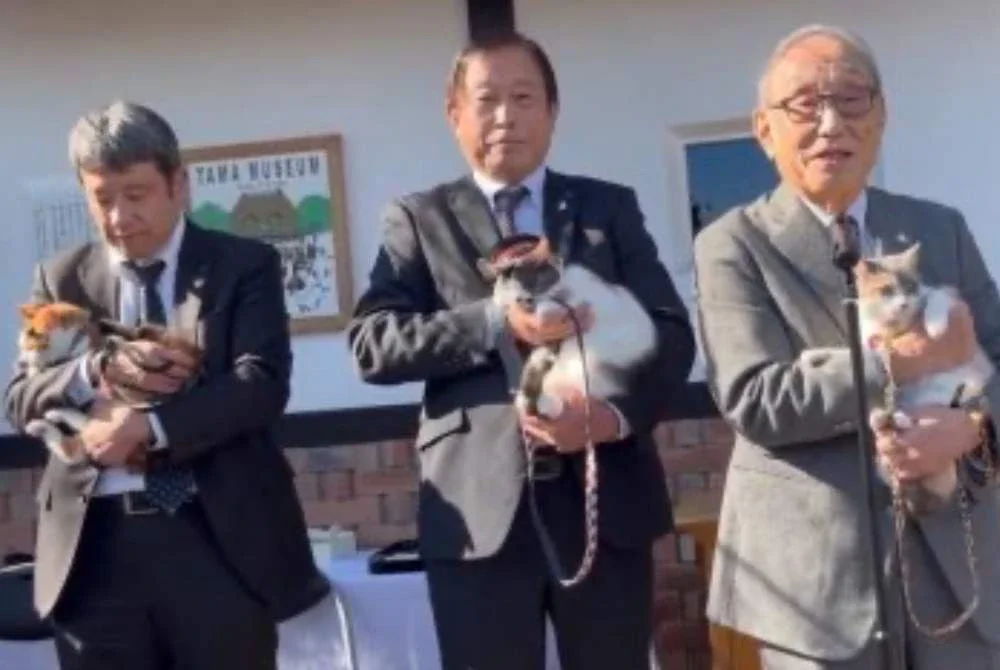 Ketua stesen kucing ketiga, Yontama (tengah), Kojima Mitsunobu (kanan) memegang kucing yang baru direkrut, Rokutama. - Foto Kyodo News.