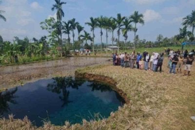 Fenomena lubang benam di sawah menarik perhatian masyarakat. Foto Agensi