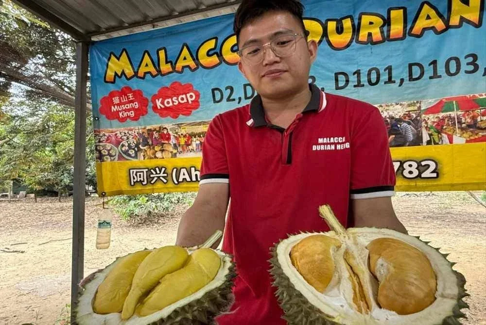 Heng menunjukkan durian premium dengan harga berpatutan.