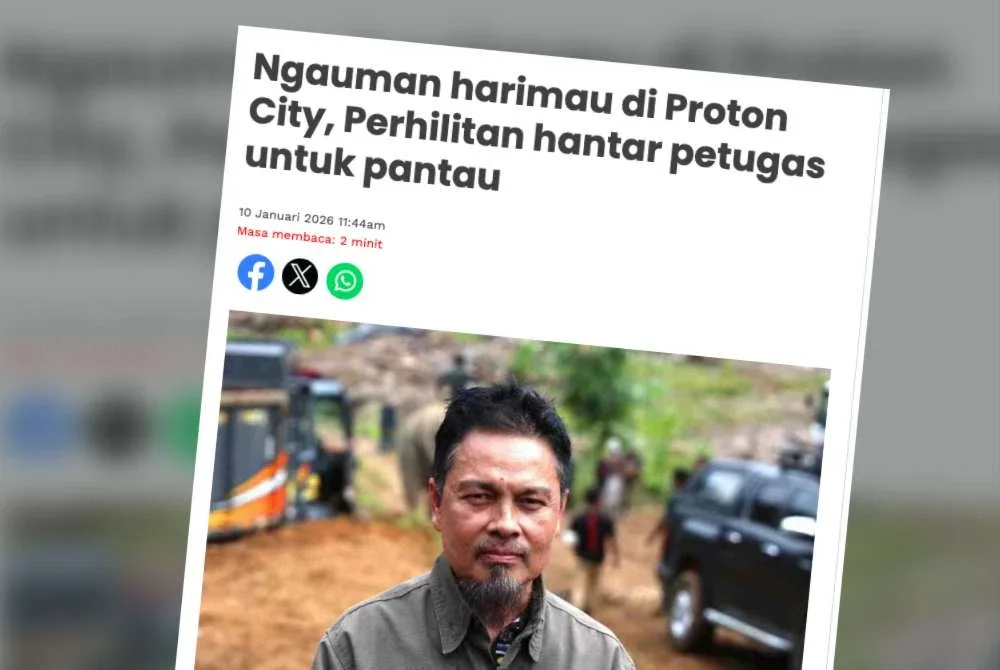 Siasatan Perhilitan di lapangan tidak menemui sebarang tanda kehadiran harimau berdekatan Taman Rekreasi Ujana Muallim, Proton City.