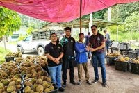 FAMA Perak turun padang bagi mendapatkan gambaran sebenar situasi pemasaran durian bukit di Kampung Batu 6, Jalan Pahang, Tapah susulan pendedahan kejatuhan harga serendah RM1 sekilogram. Foto: FAMA Perak 