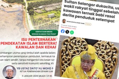 DUPP menegaskan Islam secara jelas melarang umatnya terlibat dalam penternakan, pemilikan dan perdagangan khinzir.