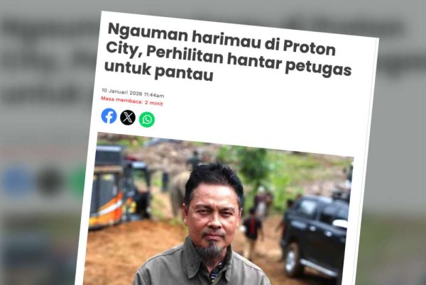 Siasatan Perhilitan di lapangan tidak menemui sebarang tanda kehadiran harimau berdekatan Taman Rekreasi Ujana Muallim, Proton City.