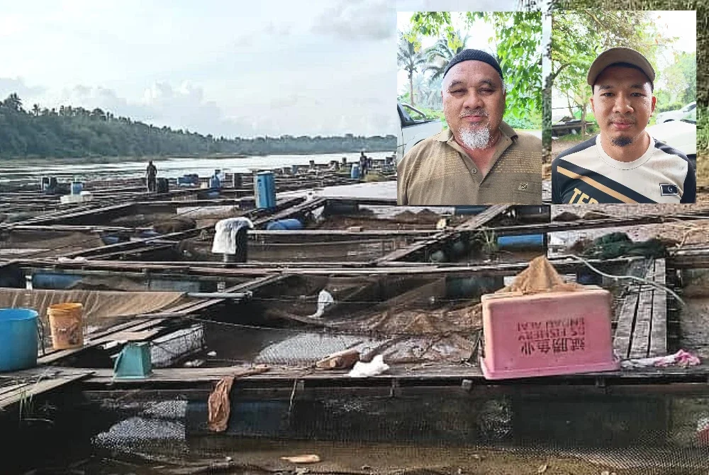 Penternak di Kampung Pantai Ali di sini terjejas akibat fenomena 'selut timbul' yang didakwa semakin serius. Gambar kecil: Zakaria (kiri) Mohamad Na'iman (kanan).
