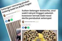 Laporan Sinar Harian mengenai isu penternakan babi di Selangor yang kembali mencetuskan perdebatan hangat sehingga menerima teguran tegas daripada Sultan Selangor.