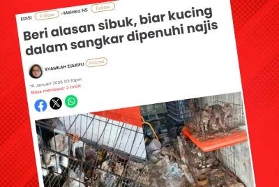 Laporan Sinar Harian mengenai pengabaian kucing yang didedahkan oleh sebuah NGO di akaun Threads.