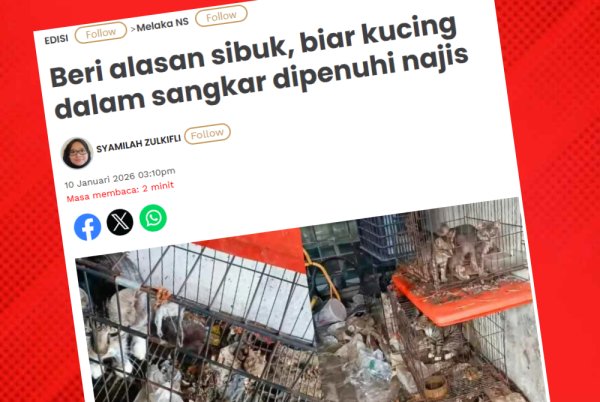 Laporan Sinar Harian mengenai pengabaian kucing yang didedahkan oleh sebuah NGO di akaun Threads.