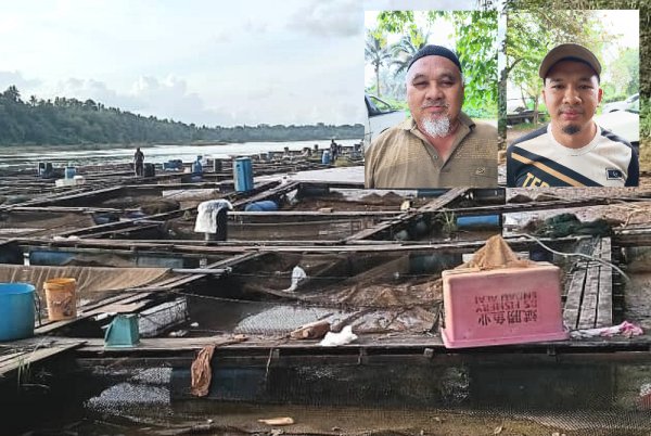 Penternak di Kampung Pantai Ali di sini terjejas akibat fenomena 'selut timbul' yang didakwa semakin serius. Gambar kecil: Zakaria (kiri) Mohamad Na'iman (kanan).