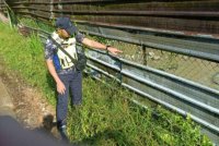 Anggota polis melakukan pemeriksaan di ladang ternakan buaya di Penampang susulan tular video mengenai buaya tersebut.