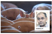 Cadangan pemindahan industri penternakan babi ke Bukit Tagar di Hulu Selangor disifatkan sebagai penyelesaian strategik dan praktikal.