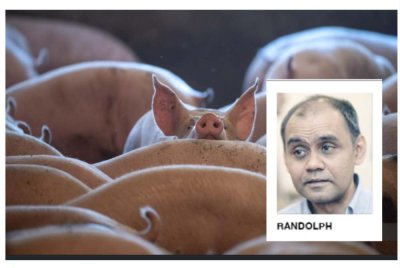 Cadangan pemindahan industri penternakan babi ke Bukit Tagar di Hulu Selangor disifatkan sebagai penyelesaian strategik dan praktikal.