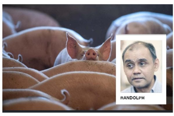 Cadangan pemindahan industri penternakan babi ke Bukit Tagar di Hulu Selangor disifatkan sebagai penyelesaian strategik dan praktikal.