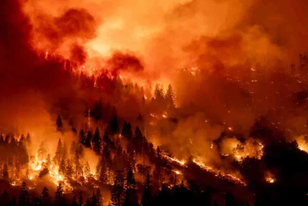 Kebakaran hutan di Los Angeles pada Januari 2025 turut menyebabkan kerugian harta benda yang teruk. Foto sumber Agensi