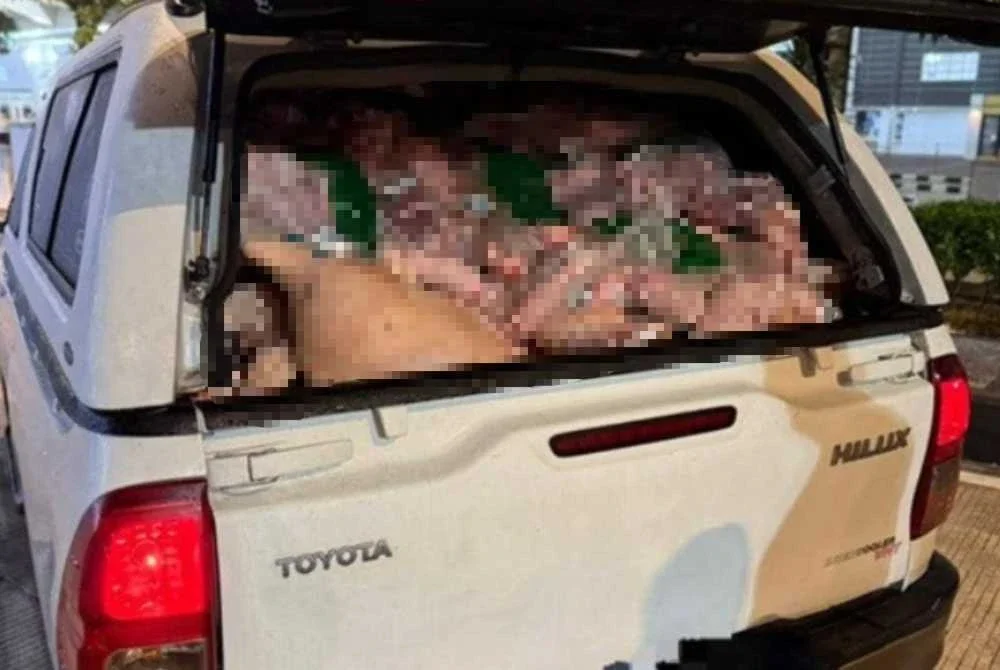 AKPS menggagalkan cubaan membawa masuk daging babi seberat 2,000 kilogram tanpa dokumen sah di ICQS Bukit Kayu Hitam.