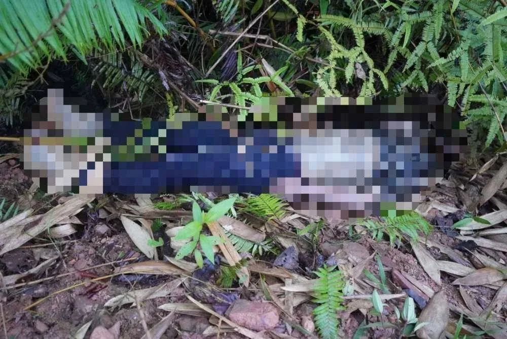 Mayat seorang lelaki warga Filipina ditemukan dalam keadaan reput dan berulat di kawasan cerun Kilometer 67.7 Jalan Tulid–Tongod, Sook di sini pada Rabu.