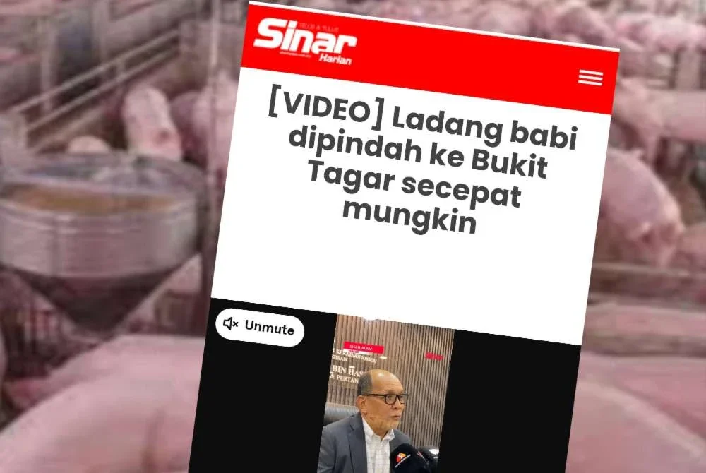 Sinar Harian pada Isnin lalu melaporkan bahawa perancangan untuk memindahkan ladang penternakan babi dari Kuala Langat dan Sepang ke kawasan berpusat moden di Bukit Tagar, Hulu Selangor, akan disegerakan sebelum hujung tahun ini.