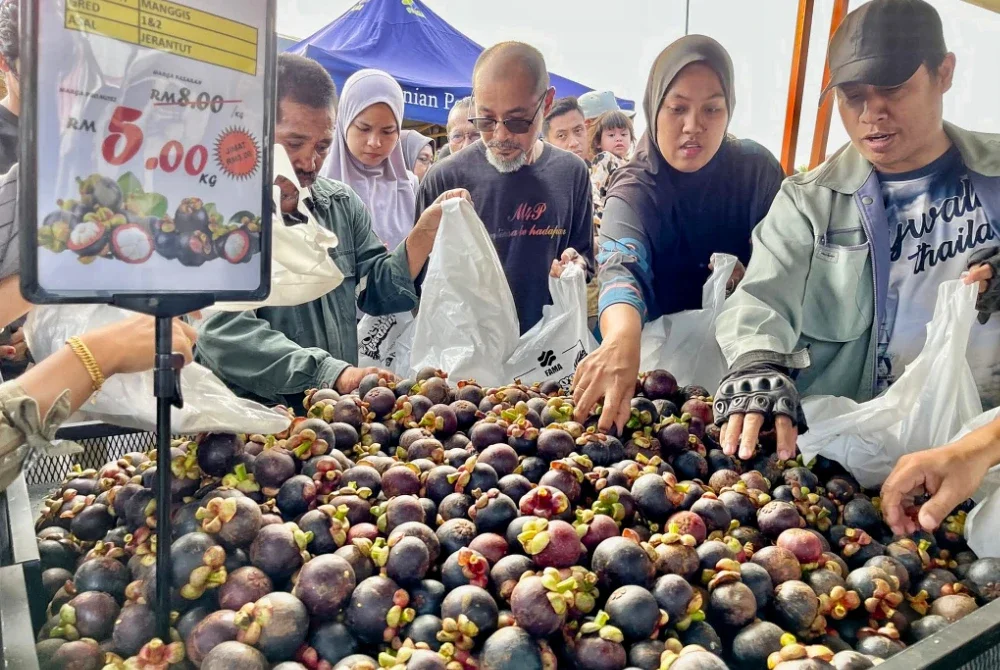 Manggis juga mendapat sambutan luar biasa daripada pengunjung sepanjang program jualan di Pasar Tani Beserah pada Khamis. Foto FAMA Pahang