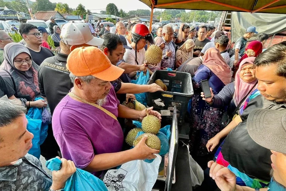 Pengunjung Pasar Tani Beserah berpeluang mendapatkan durian kampung pada harga RM4.50 dan D24 ditawarkan antara RM8 hingga RM12 sekilogram. Foto FAMA Pahang