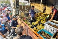 Sebanyak 2.5 tan durian habis terjual pada program jualan di Pasar Tani Beserah susulan harga murah. Foto FAMA Pahang
