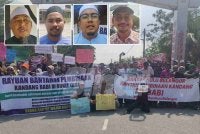 Penduduk empat Felda sekitar Hulu Selangor berhimpun secara aman bagi menyatakan bantahan terhadap cadangan pemindahan ladang penternakan babi ke Bukit Tagar, pada Jumaat. Gambar kecil dari kiri: Azli, Mohd Asyraf, Muhammad Fadhil, Mohd Khairudin 