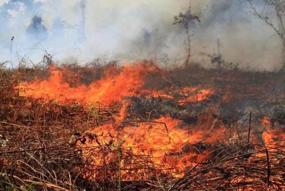 Wilayah Aceh di Indonesia kini berdepan satu lagi bencana apabila kebakaran hutan berlaku di beberapa kawasan - Foto: Agensi