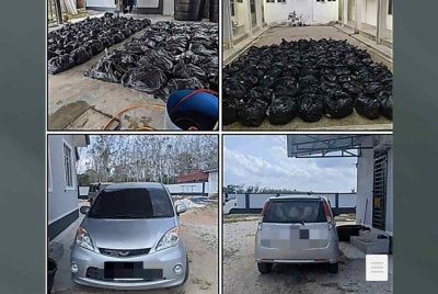 PGA menahan seorang wanita dan merampas 1,150 kilogram daun ketum di sebuah rumah di Kampung Hutan Kuin Hilir, Jalan Tanah Merah, Machang ada Jumaat. Foto PGA