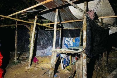 Bangsal dalam ladang kelapa sawit di Felda Keratong 7 yang dijadikan tempat mengambil dan mengedar dadah. Foto: Polis Rompin