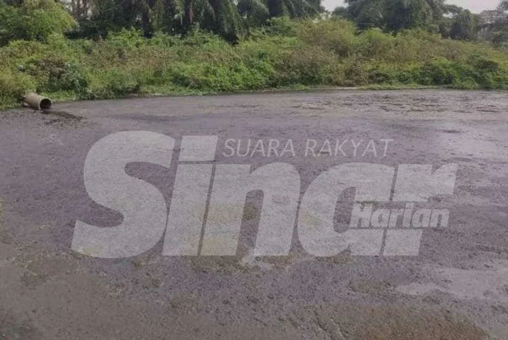 Sisa cecair dari ladang babi dilepaskan melalui paip bersaiz besar sebelum bertakung di sebuah kawasan pembuangan yang menyerupai kolam kumbahan tidak terurus.