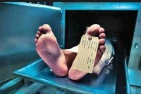 Seorang lelaki meninggal gara-gara makan cendawan liar. Gambar hiasan 