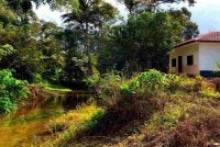 Penduduk di Kampung Kalai, Jeli bimbang orang ramai yang mempunyai lesen dan bukan penduduk tempatan akan meneroka tanah mereka tanpa kebenaran. Foto:SINAR HARIAN/HAZELEN LIANA KAMARUDIN
