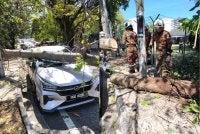 Sebatang pokok tumbang merintangi jalan serta menghempap dua buah kenderaan dalam satu kejadian di Jalan Kaki Bukit, Gelugor pada pagi Sabtu.