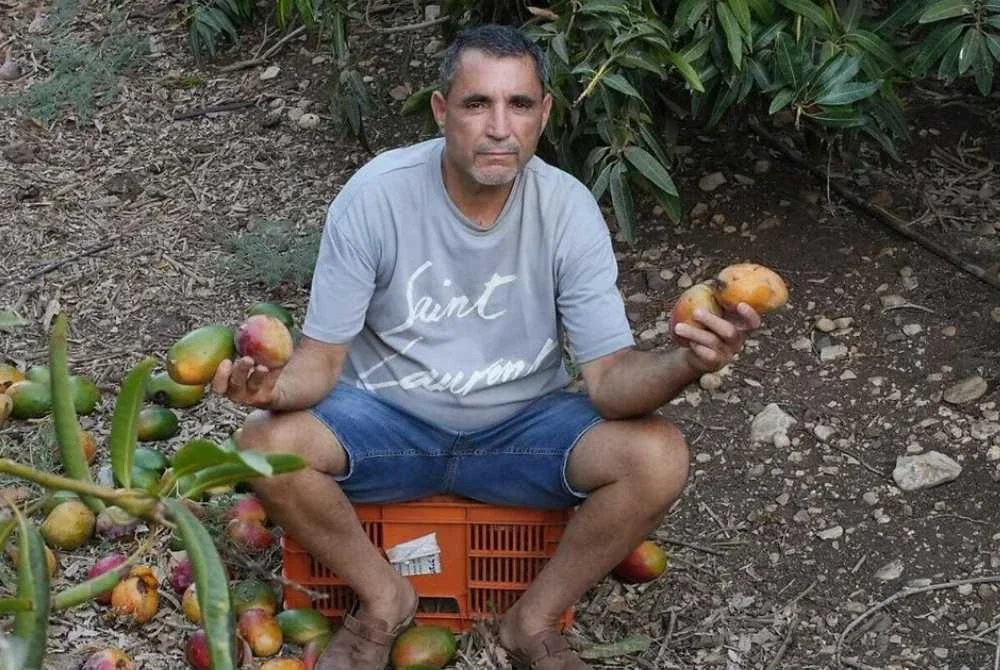Pembatalan pesanan terus meningkat hingga menyebabkan banyak hasil pertanian tidak terjual membusuk.